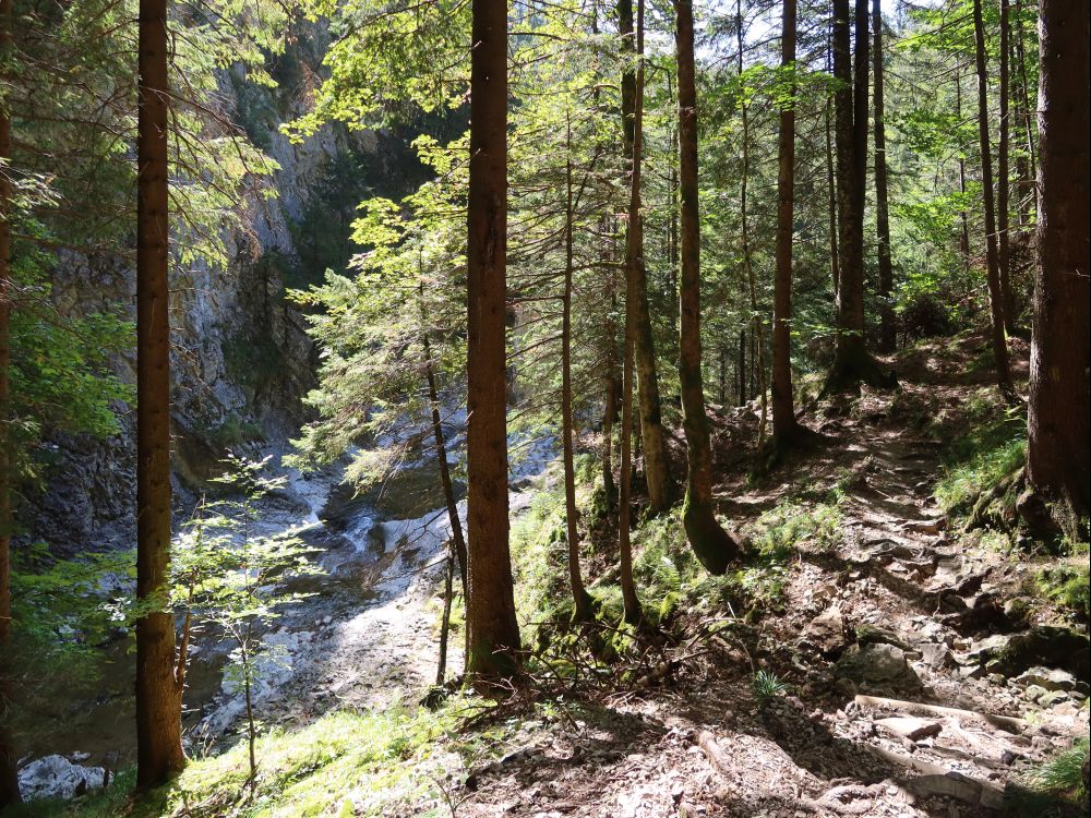 Bergpfad überm Seebenbach