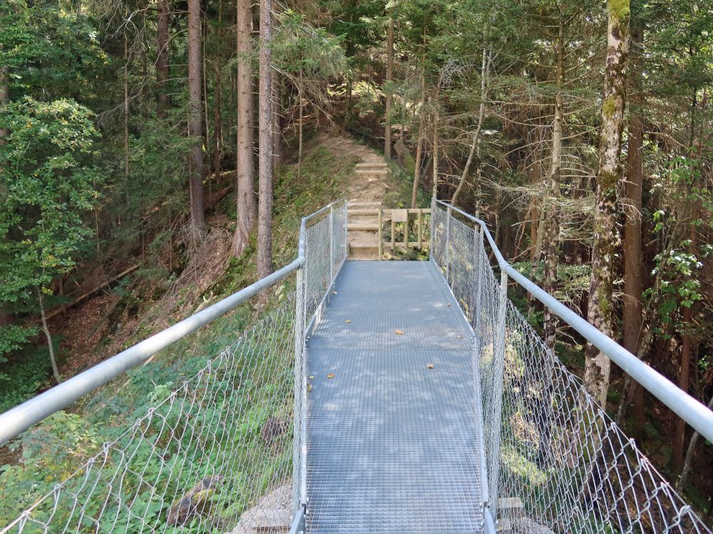 Hängebrücke Chessimättli