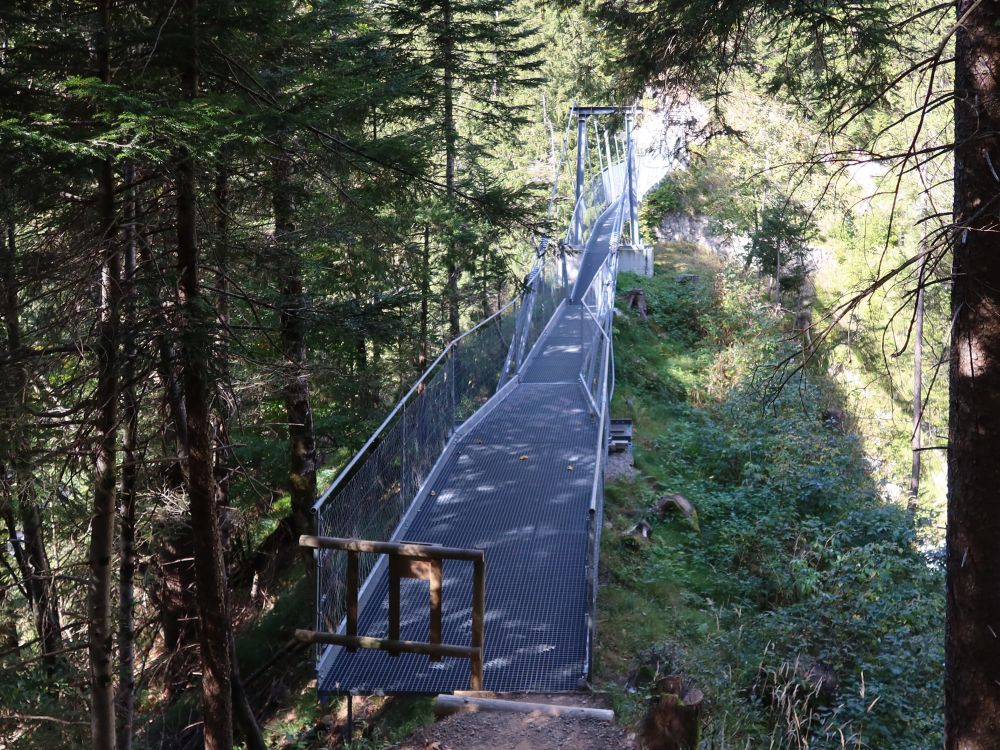 Hängebrücke Chessimättli