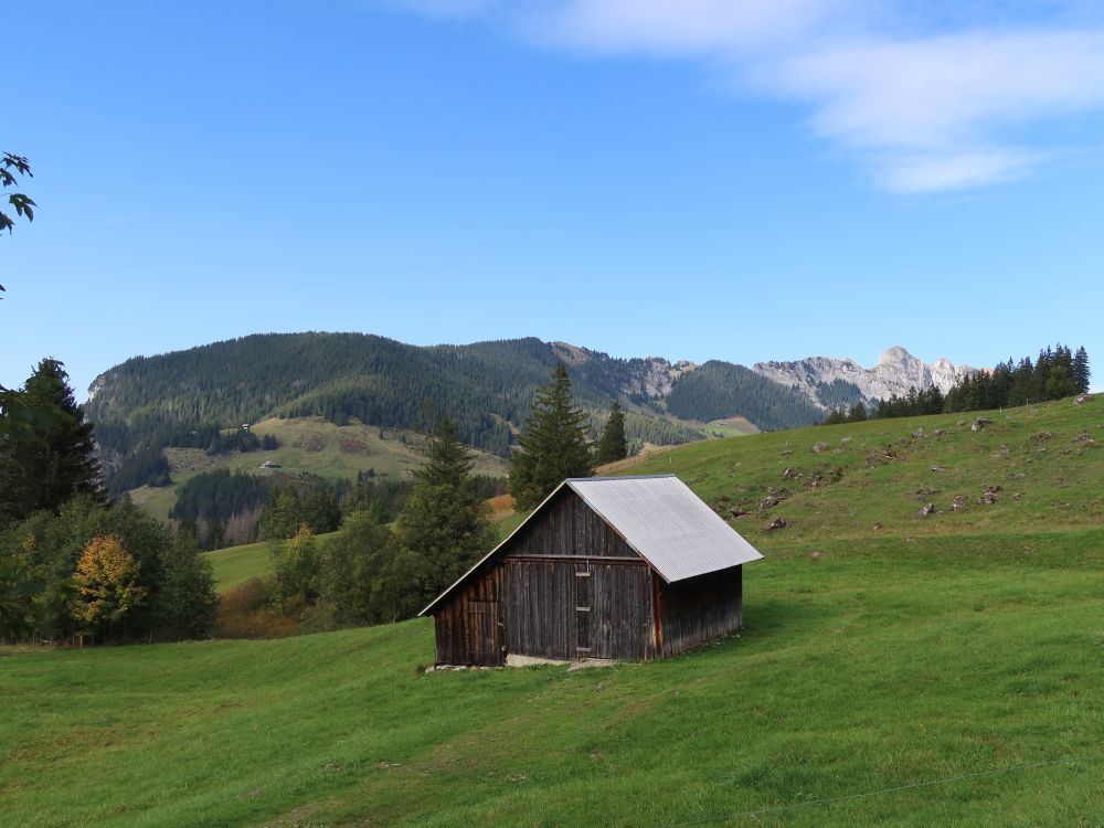 Scheune und Schwändiliflue