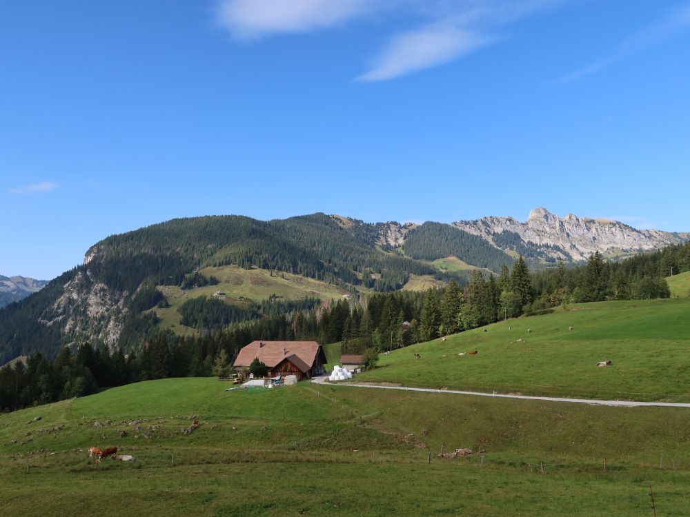 Sattelschlucht und Schwändiliflue