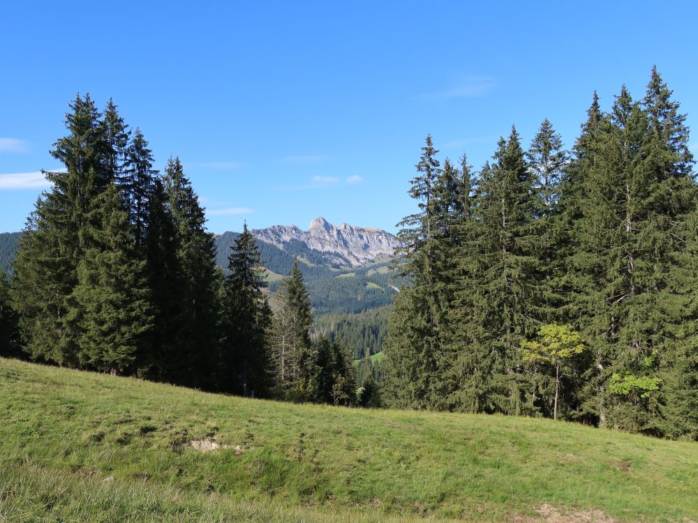 Blick zur Schwändiliflue