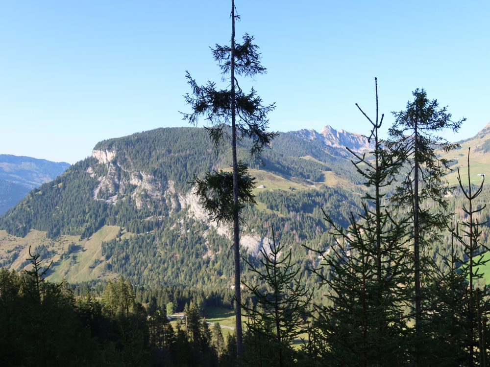 Blick zur Schwändiliflue