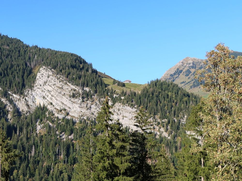 Blick zu Vorder Rüchi