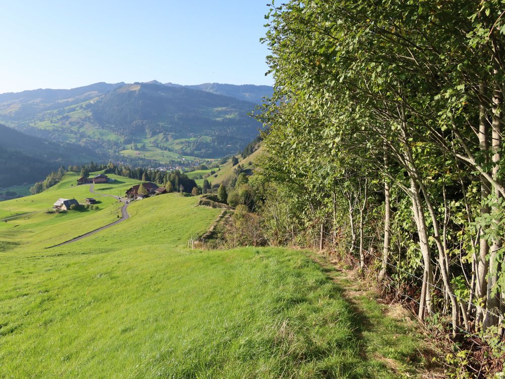 Wiesenpfad unterhalb Bleikenboden