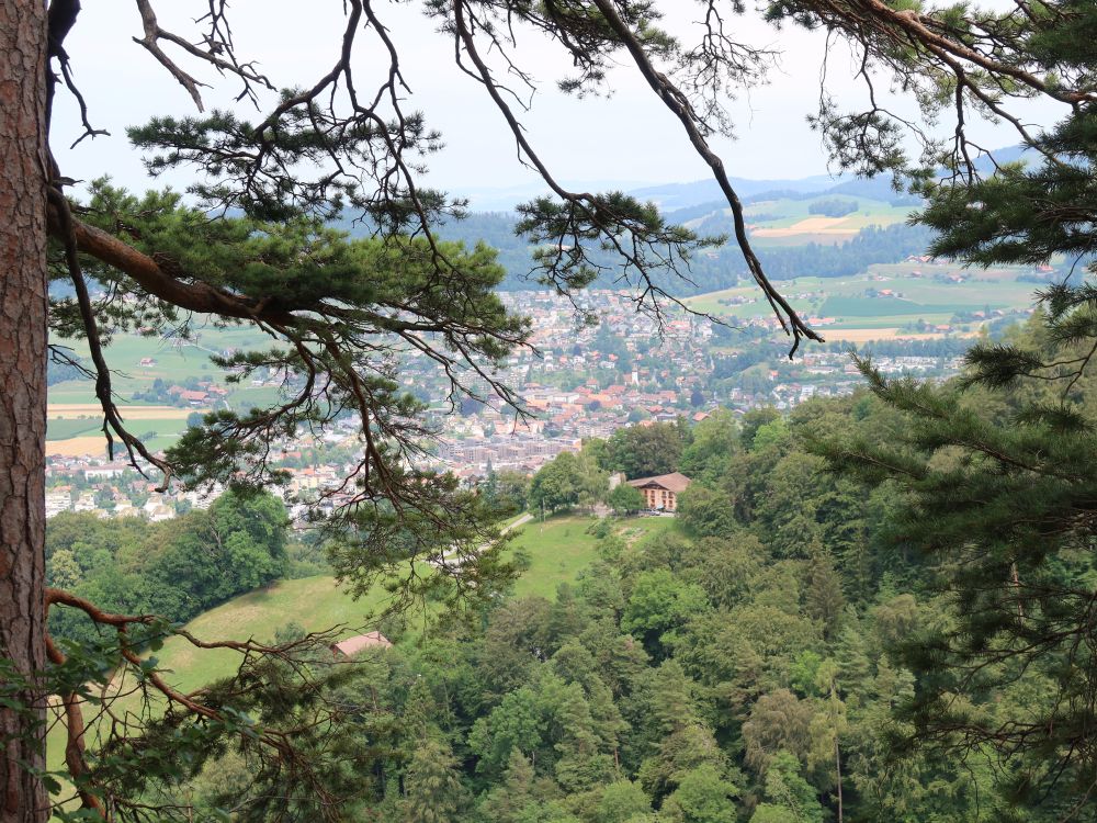 Blick Richtung Steffisburg