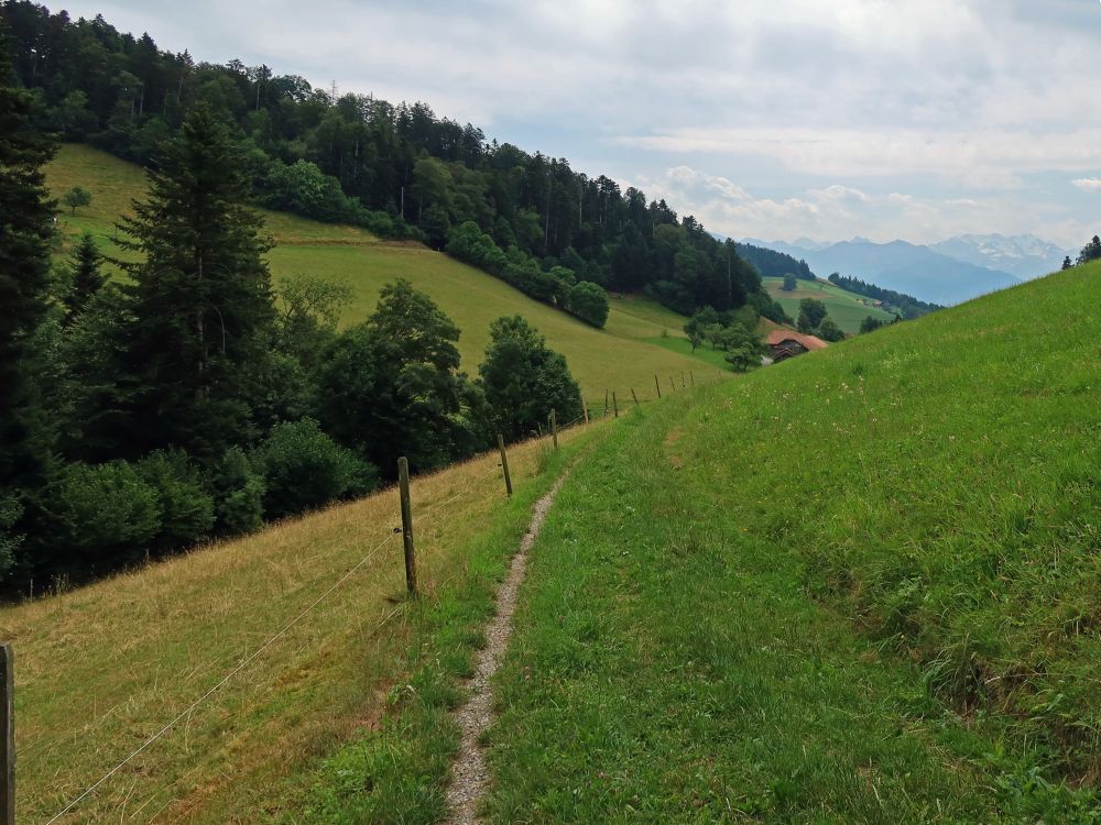 Wiesenpfad bei Geissental