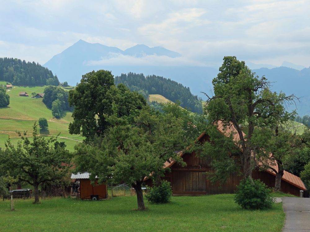 Blick Richtung Niesen