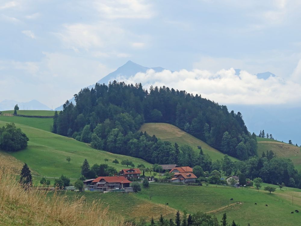 Blick Richtung Niesen