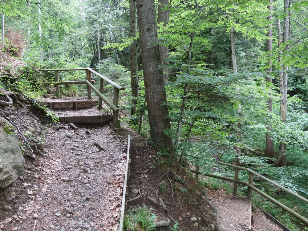 Treppe in der Cholerenschlucht