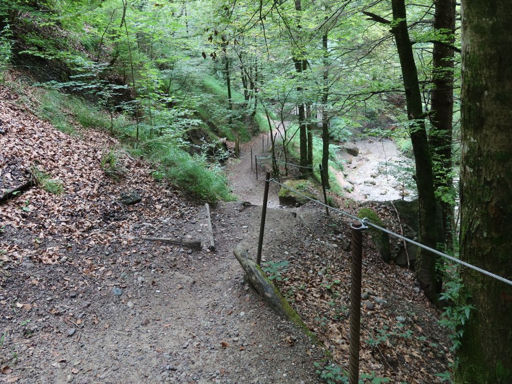 Pfad in der Cholerenschlucht