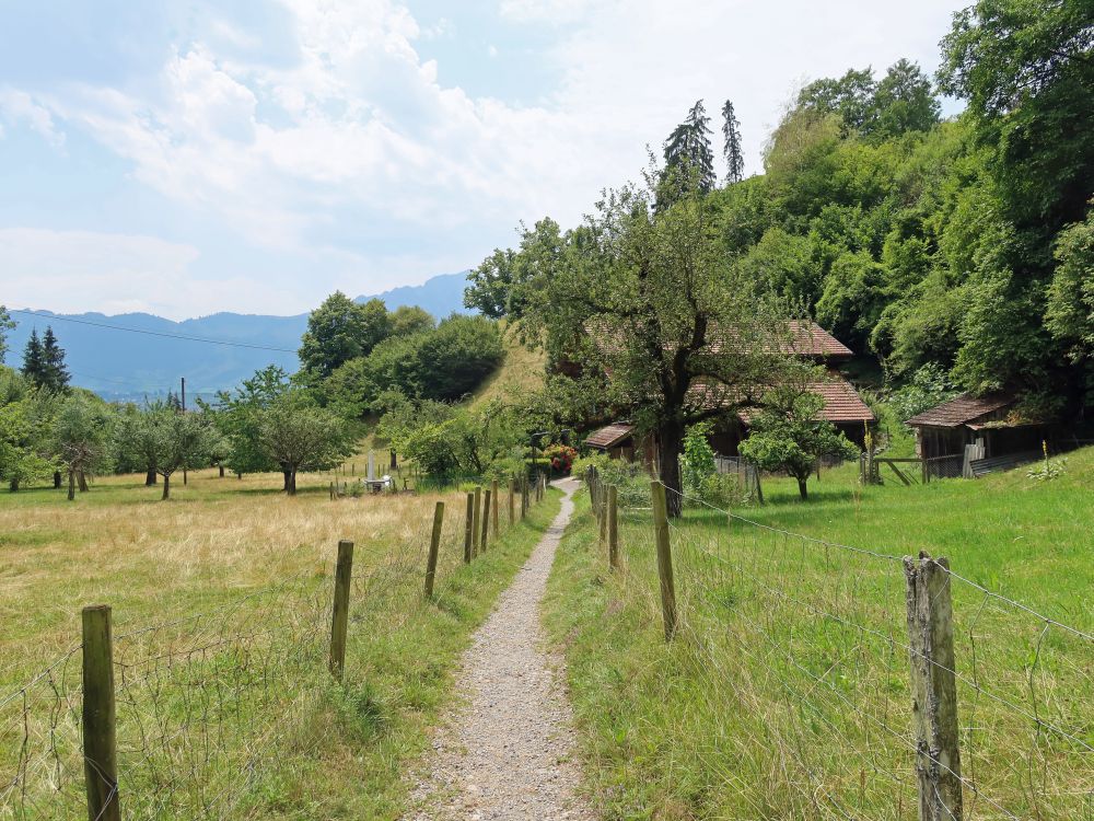 Pfad zwischen Schlucht und Hünibach