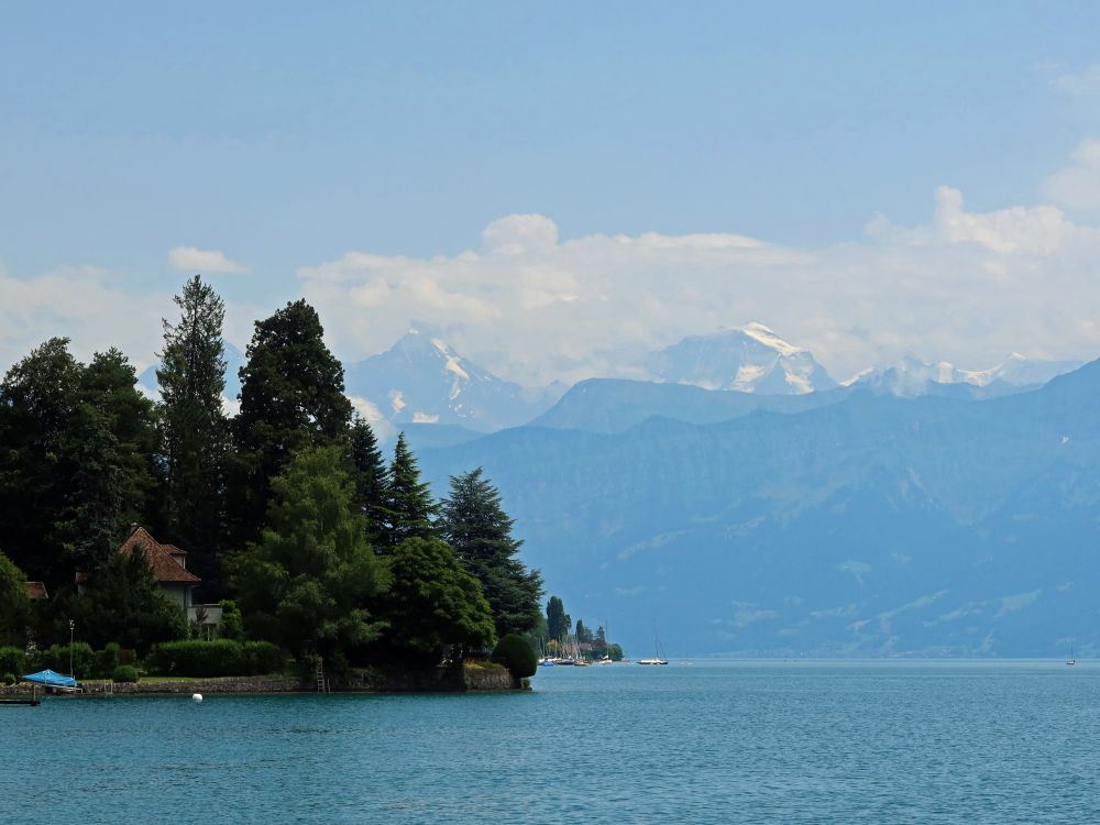 Thunersee und Berner Alpen