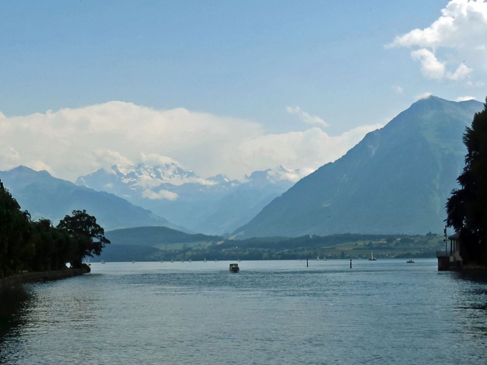 Thunersee mit Berner Alpen und Niesen