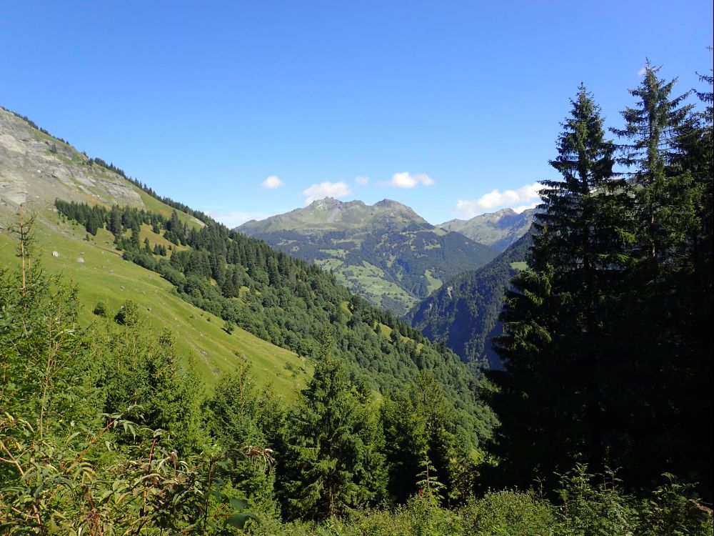 Blick Richtung Fuggenstock