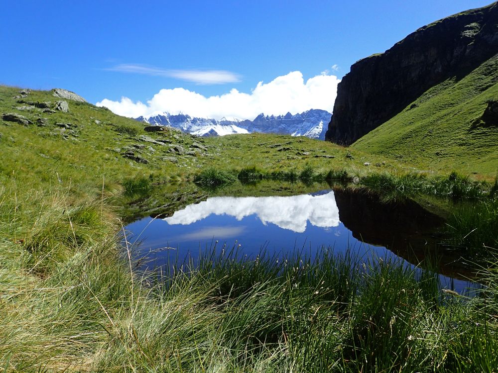 Teich am Abedweidboden