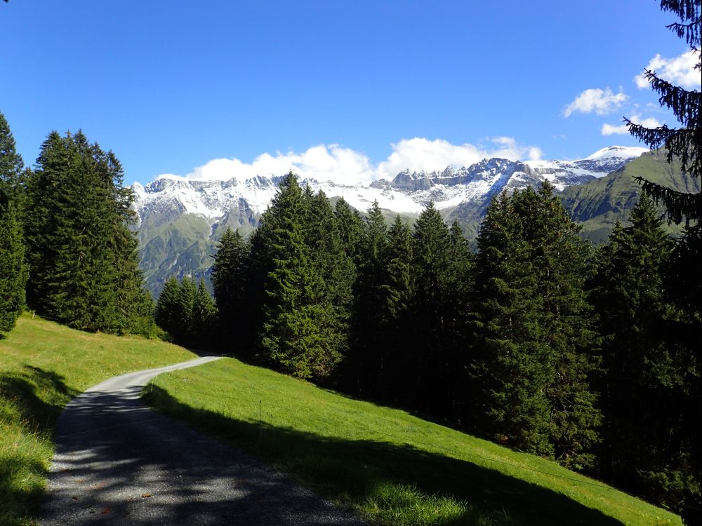 Blick Richtung Tschingel Horen