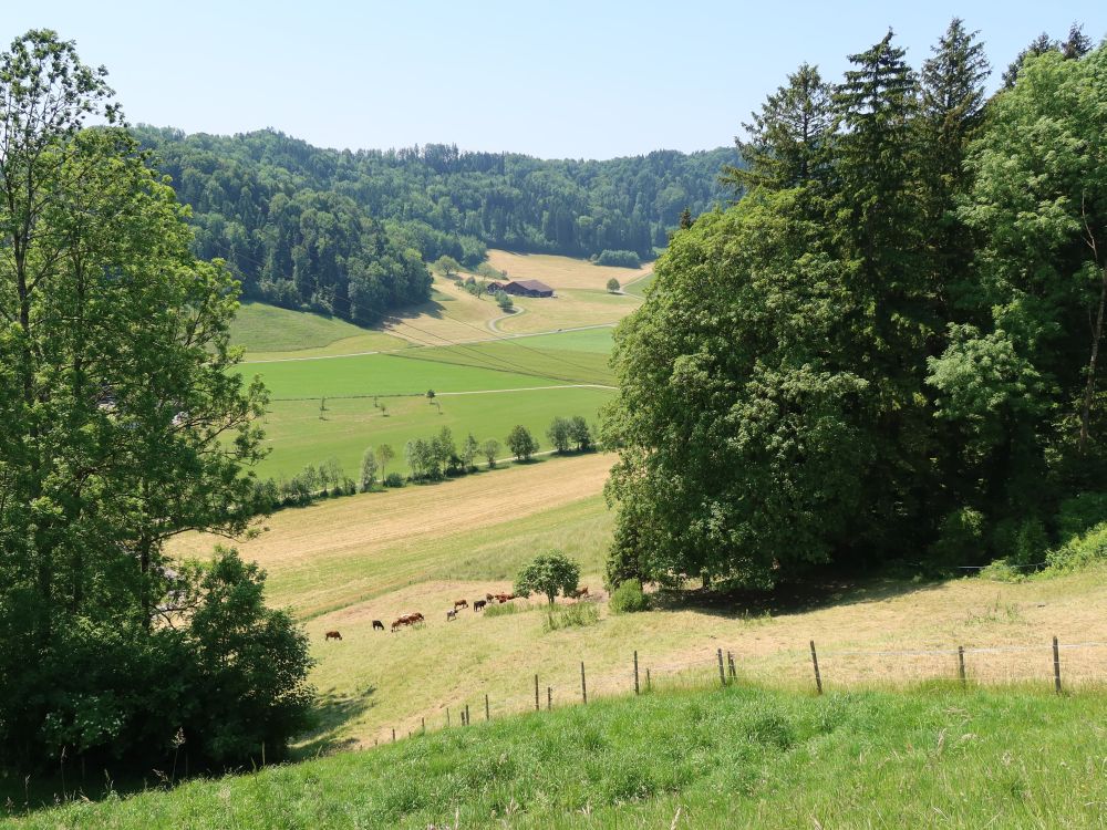 Tal des Itaslerbach