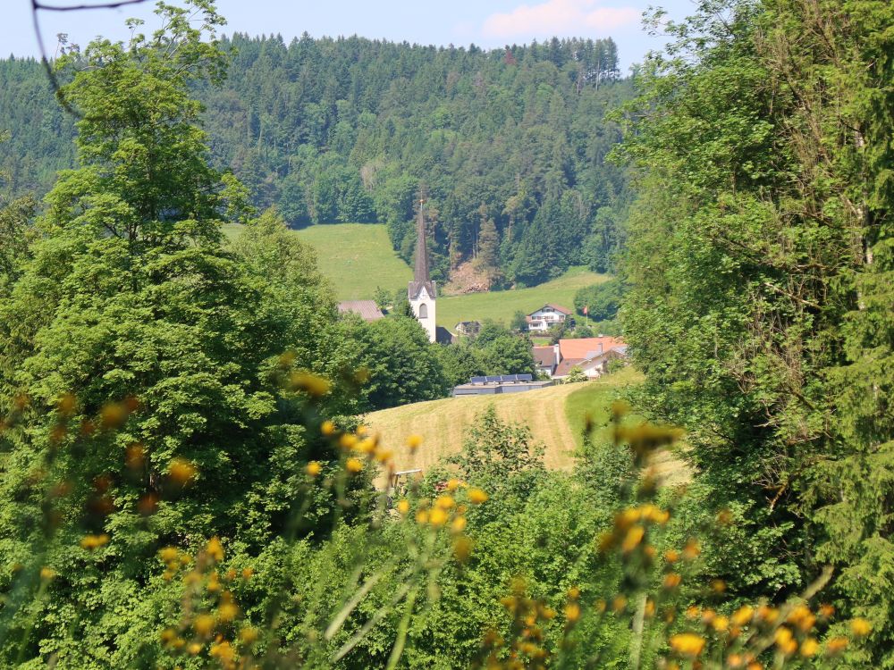 Kirchturm von Bichelsee