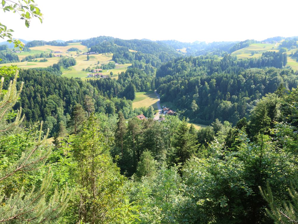 Blick auf Hatterswil