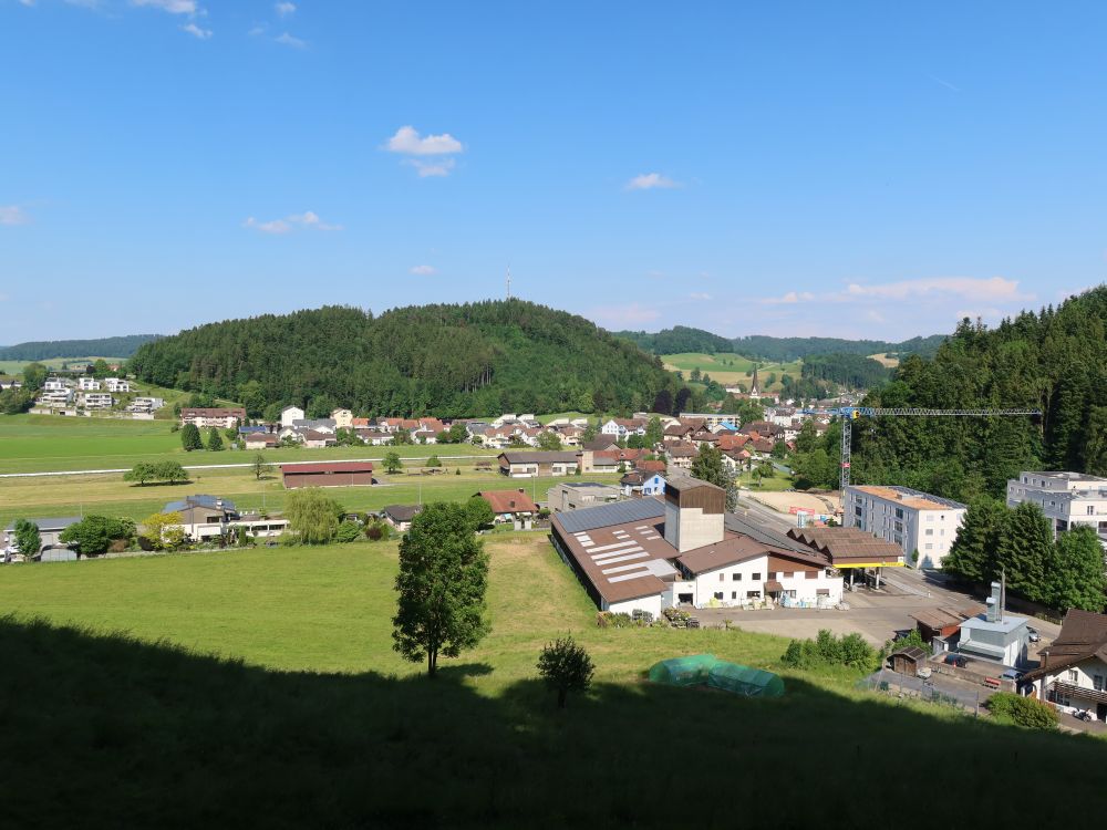 Dussnang mit Tolebärg