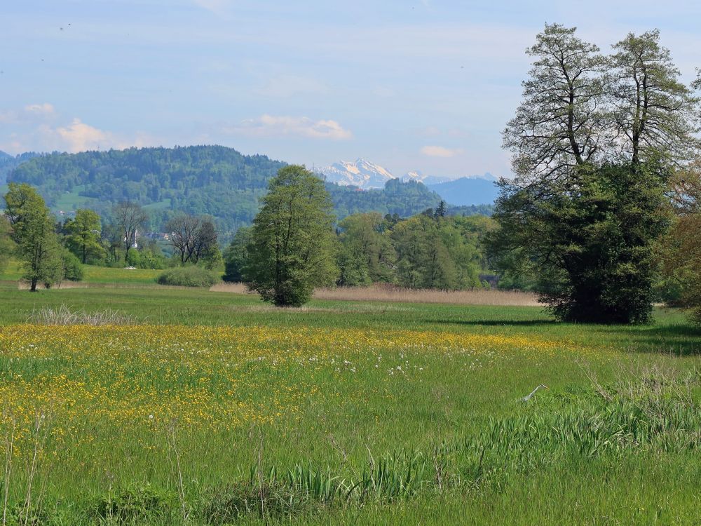 Blick Richtung Säntis