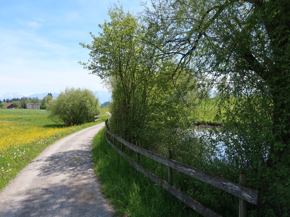 Weg am Weierriet