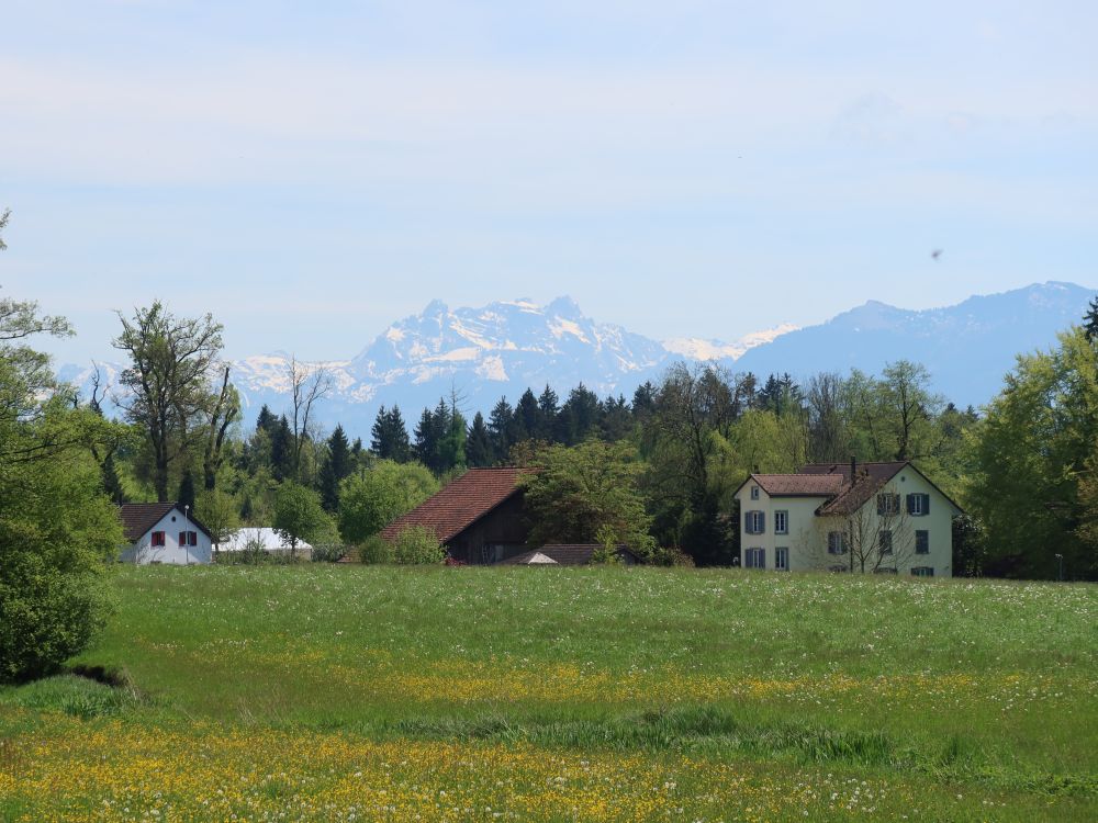 Blick Richtung Mürtschenstock