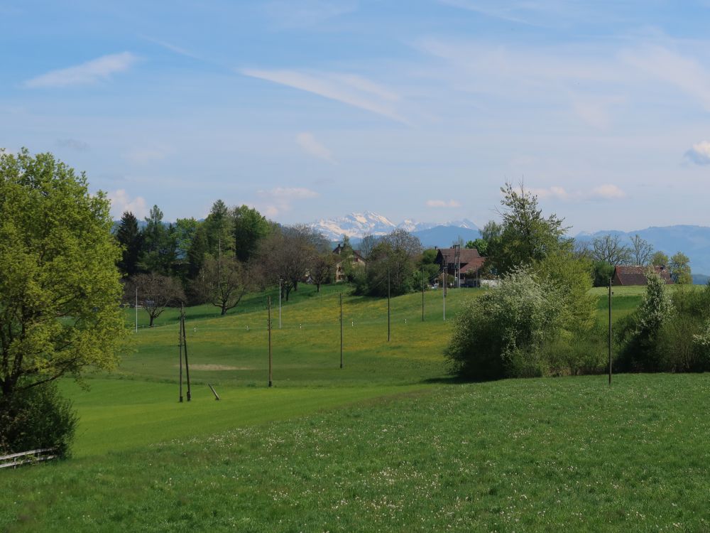 Blick Richtung Säntis