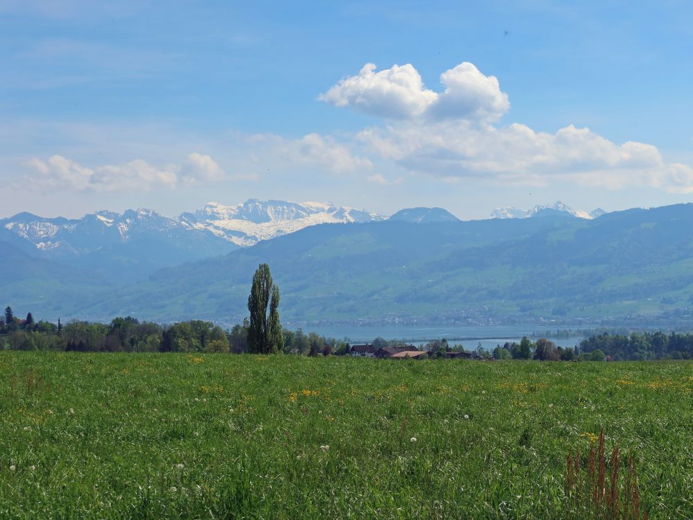 Glarner Alpen und Zürichsee