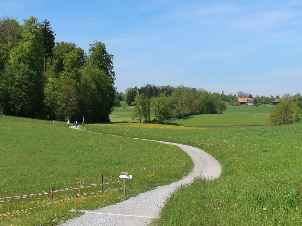 Weg am Stangenholz