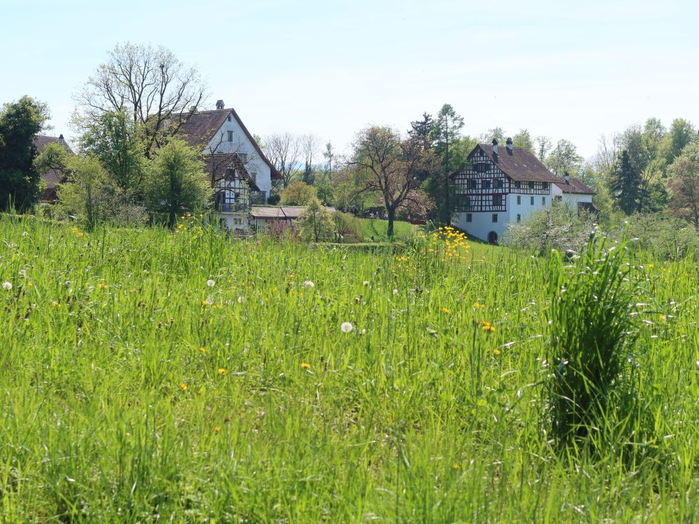 Häuser von Lützelsee