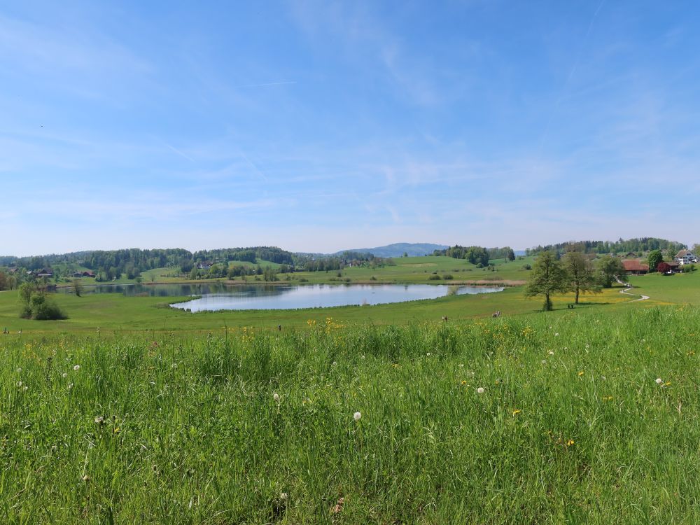 Lützelsee