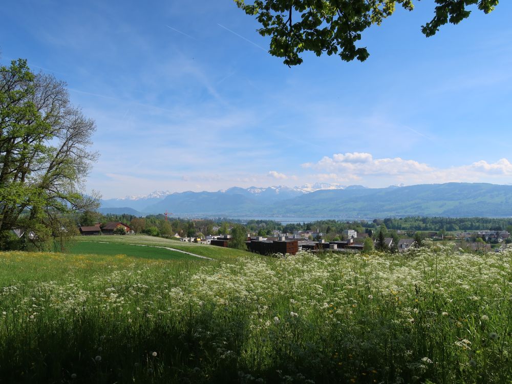 Blick von Bochslen Richtung Hombrechtikon