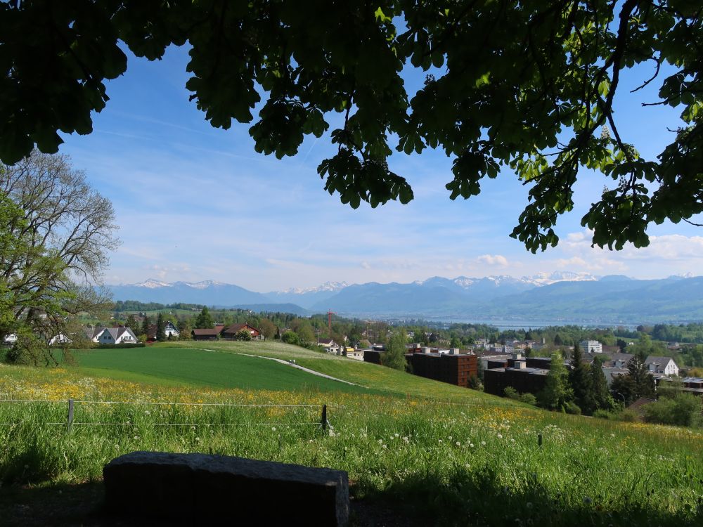 Blick von Bochslen Richtung Hombrechtikon