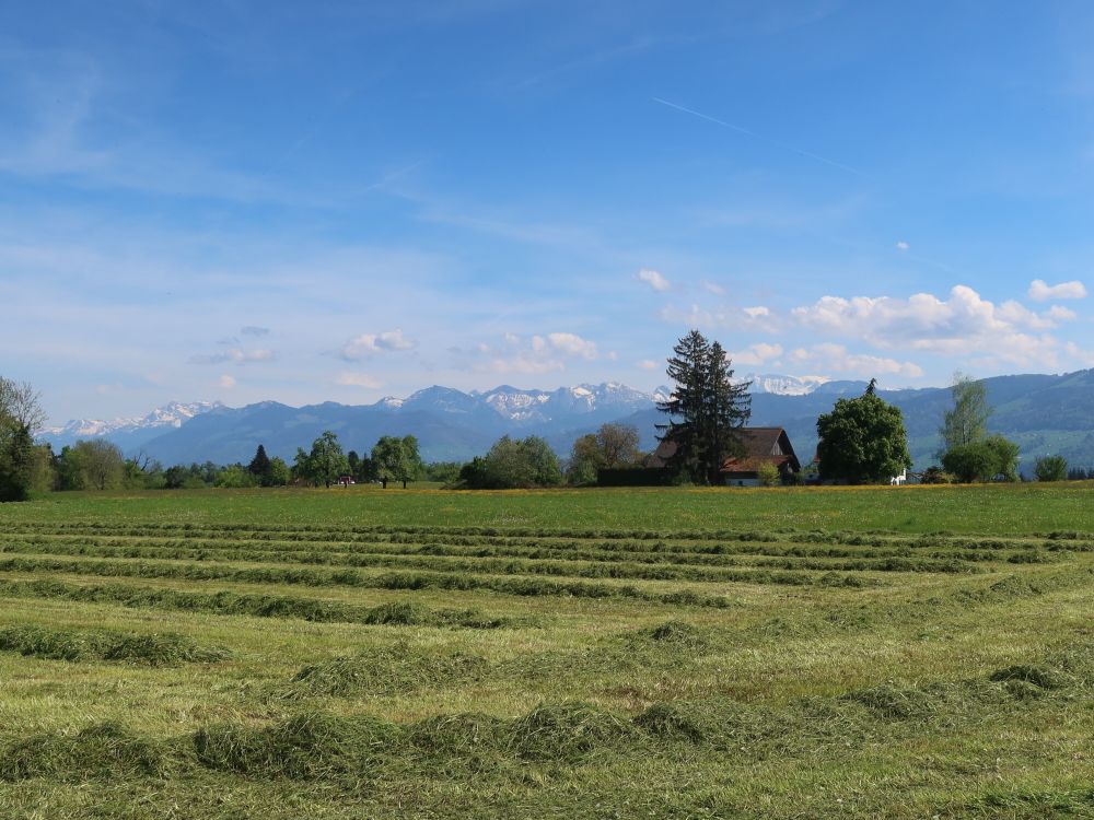 Heuernte und Glarner Alpen