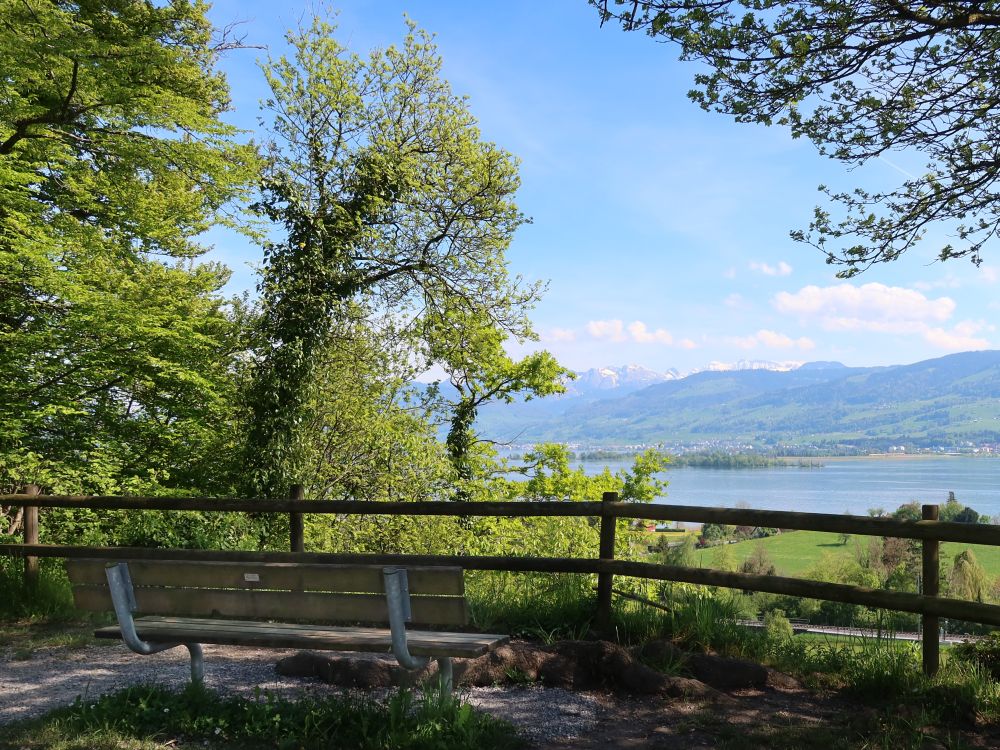 Blick vom Trüllisberg auf den Zürichsee