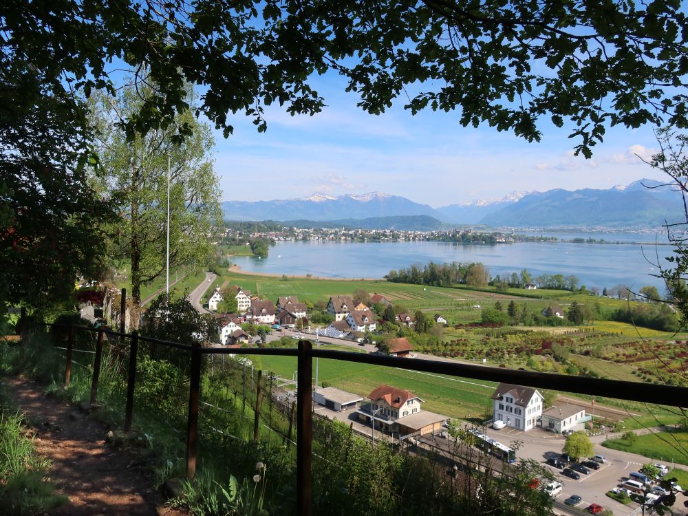 Blick auf Feldbach, Rapperswil und Zürichsee