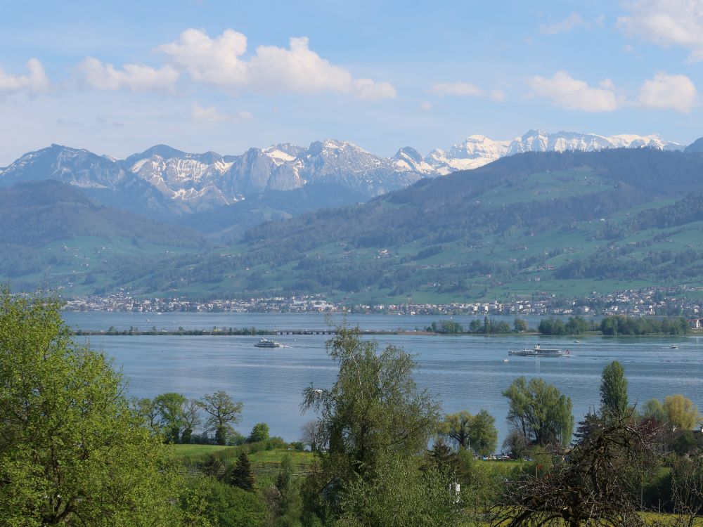 Seedamm und Glarner Alpen