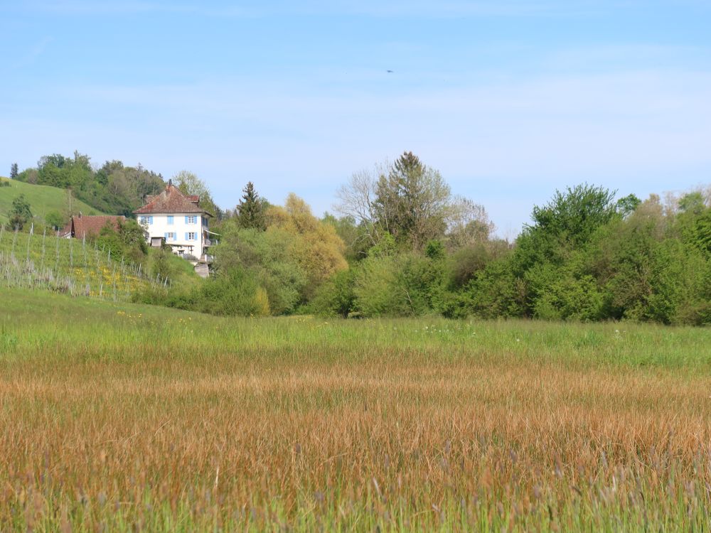 Haus bei Schlatt