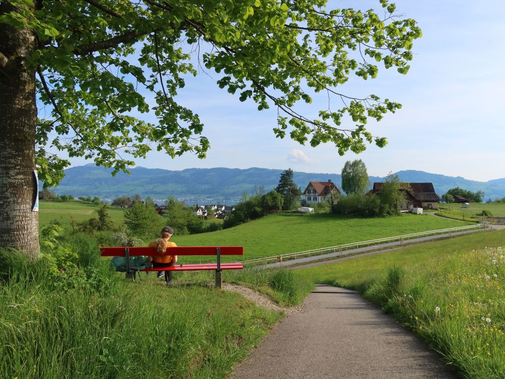 Sitzbank mit Blick auf Oberer Rüssel