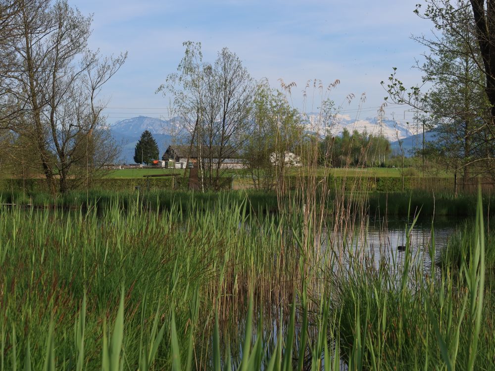 Egelsee mit Alpenblick