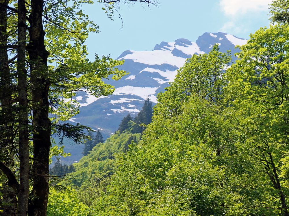 schneebedeckter Berg