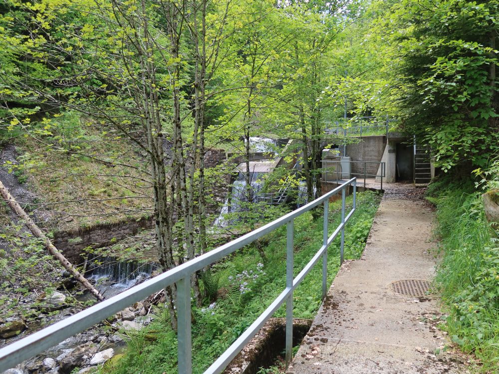 Wasserkraft bei Obere Tobelbrugg