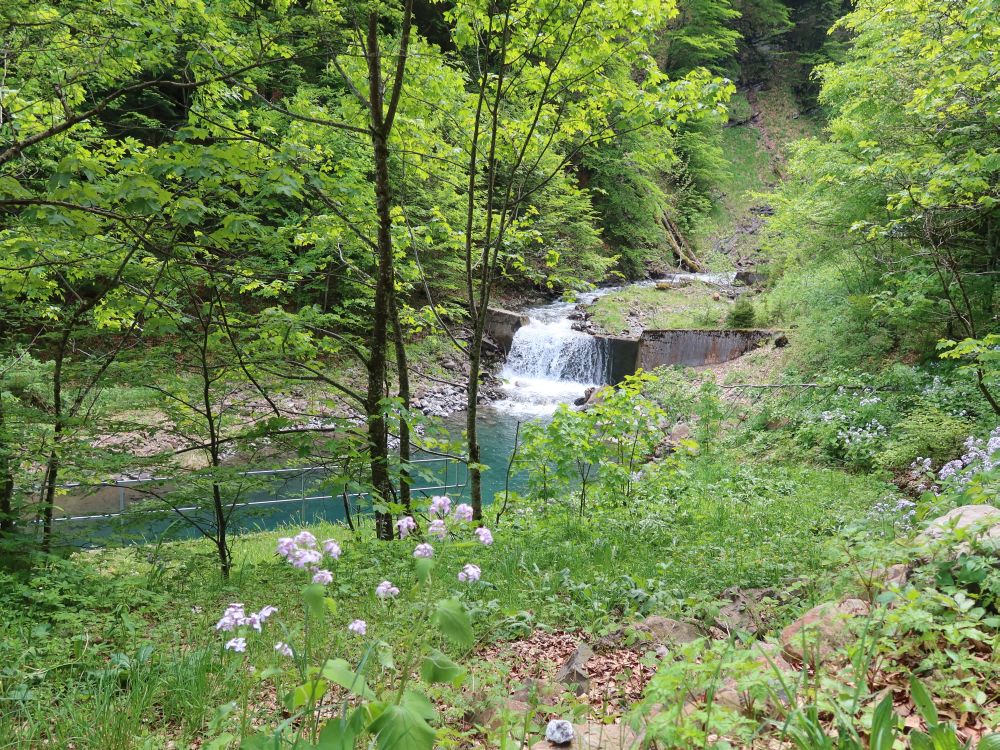 Wasserbecken
