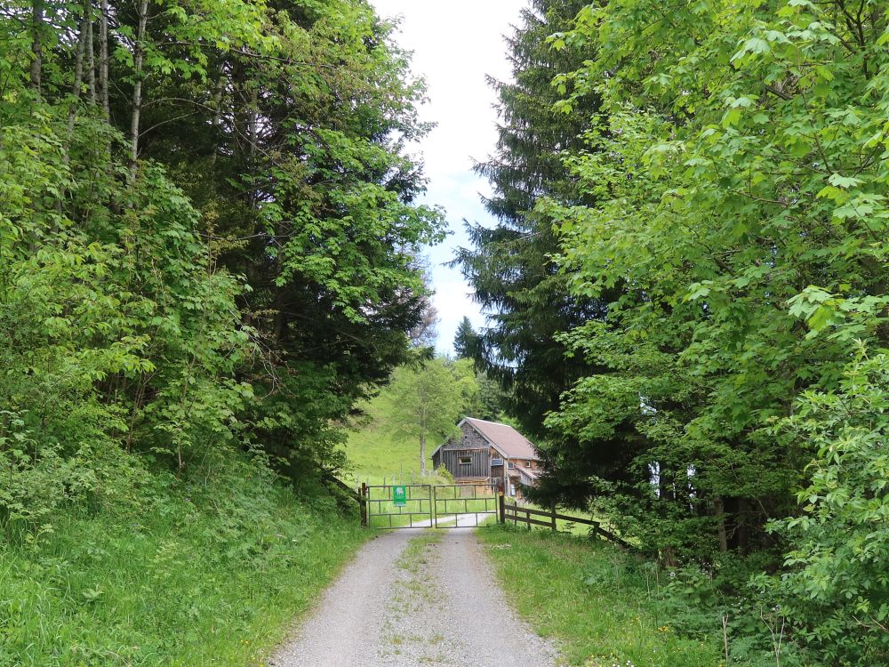 Hütte bei Galggen