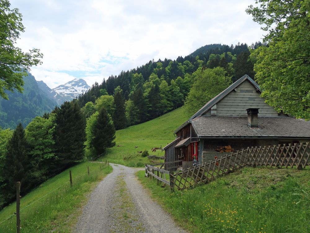 Hütte bei Galggen