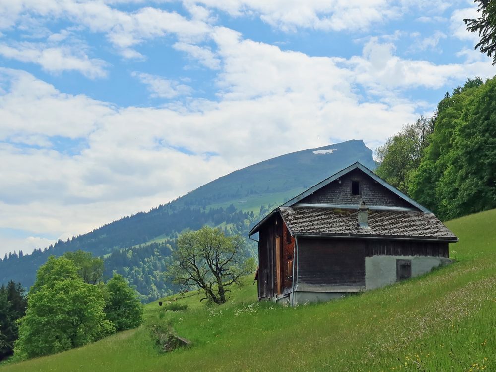 Scheune oberhalb Vorderberg