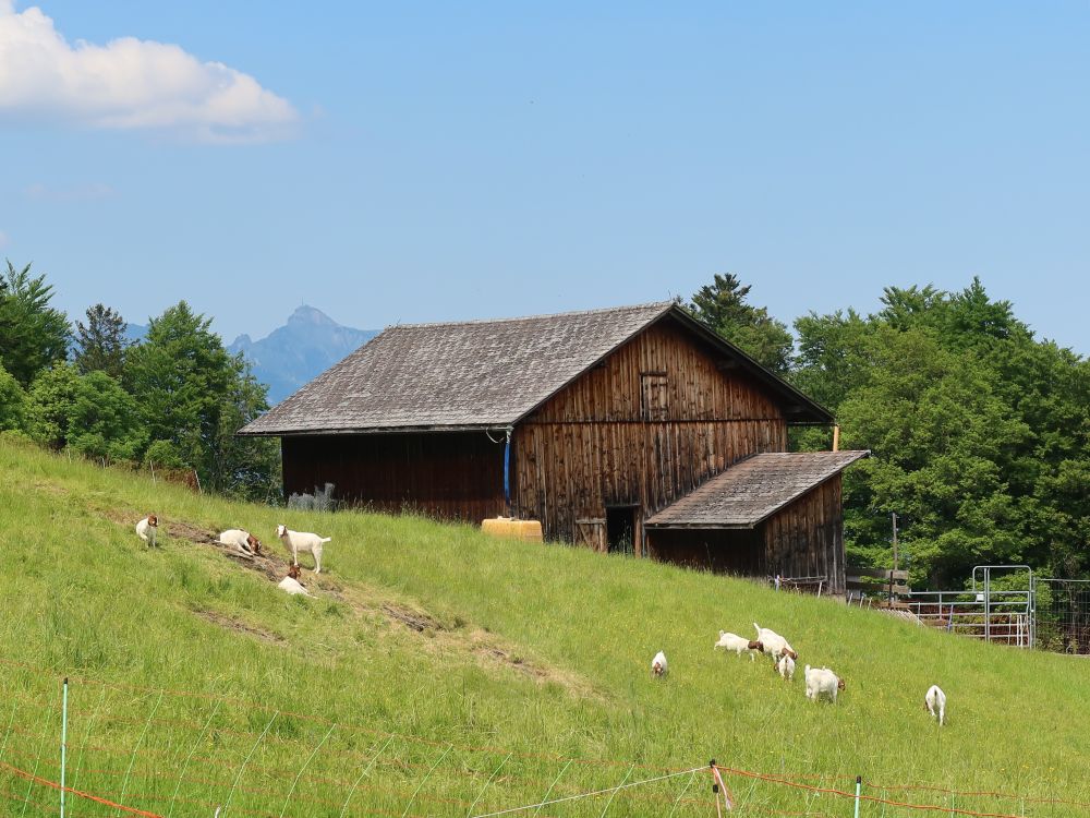 Scheune oberhalb Vorderberg