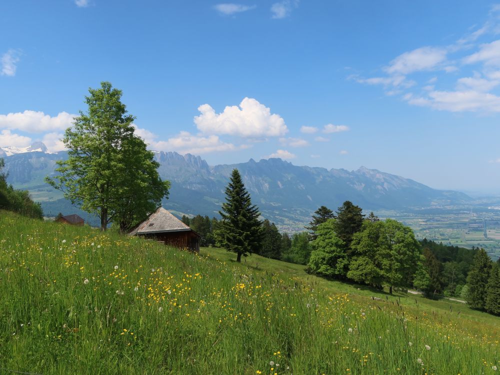 Blick Richtung Alpstein